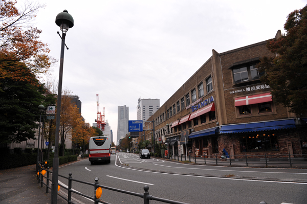 131110 p01 DSC_6449.jpg